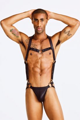 M2319 Black Harness