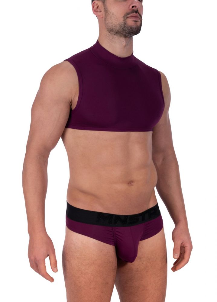 M2320 Cropped Top burgundy | L