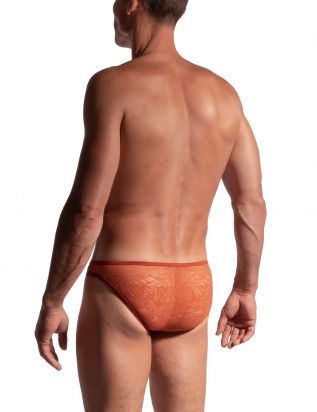 M2292 Low Rise Brief terra | M