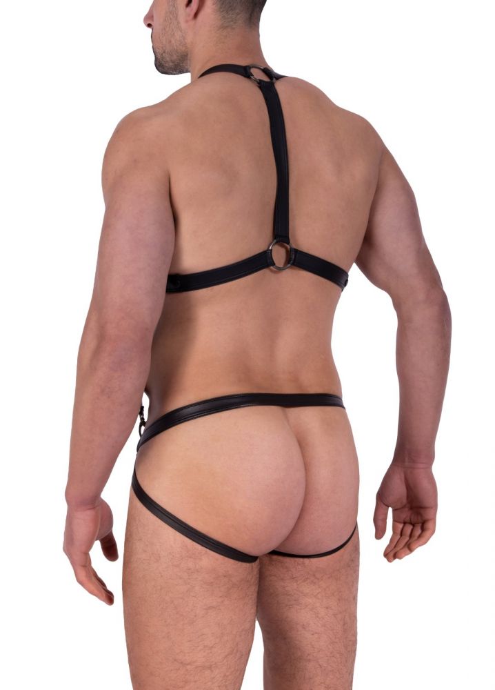 M2319 Black Harness