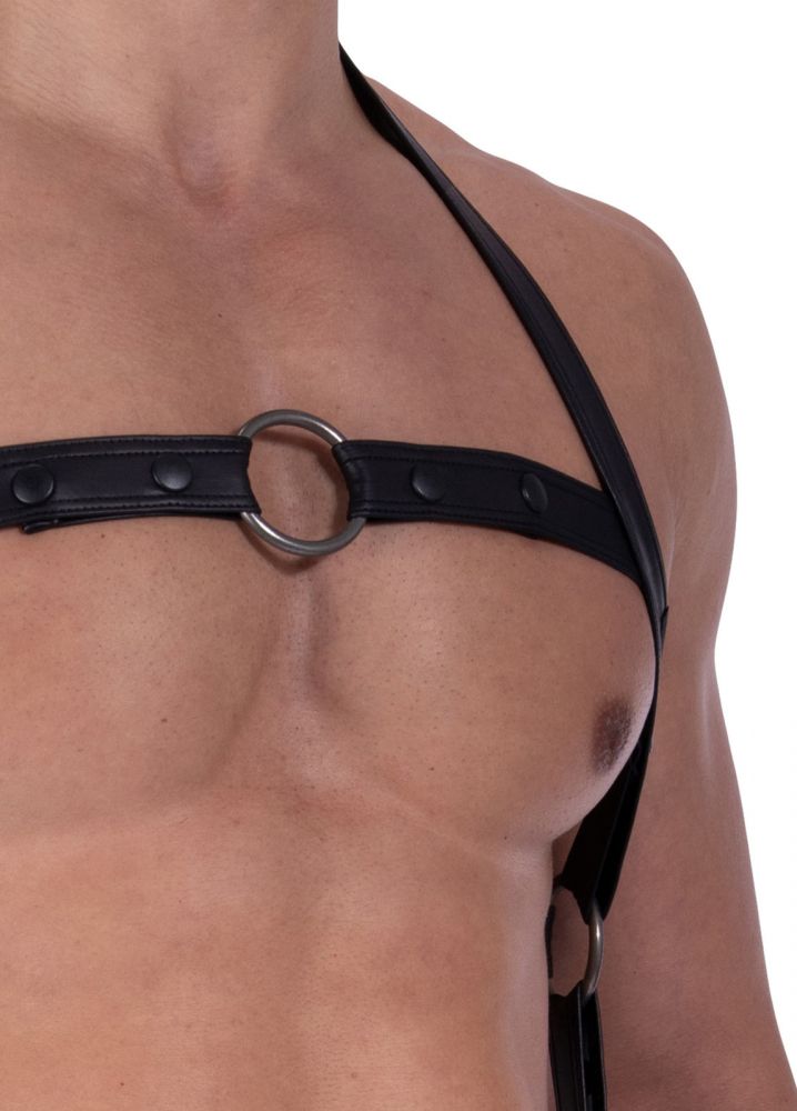 M2319 Black Harness